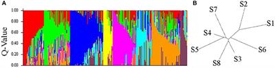 Comparative Aerial and Ground Based High Throughput Phenotyping for the Genetic Dissection of NDVI as a Proxy for Drought Adaptive Traits in Durum Wheat